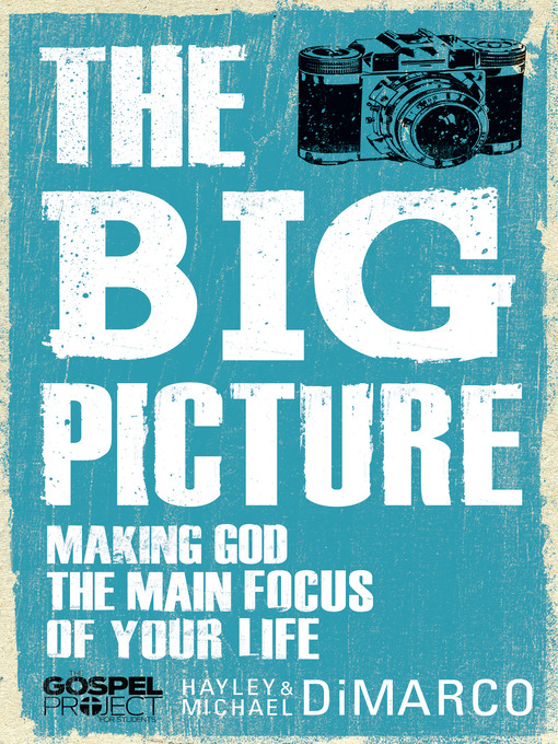 Title details for The Big Picture by Hayley DiMarco - Wait list